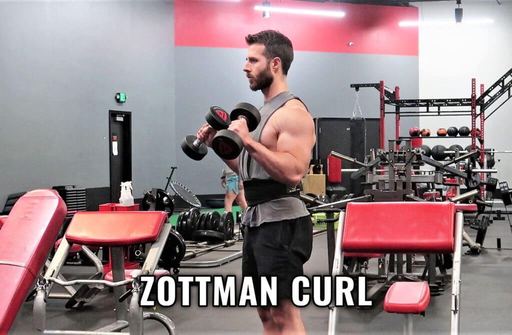 Zottman Curl Cover