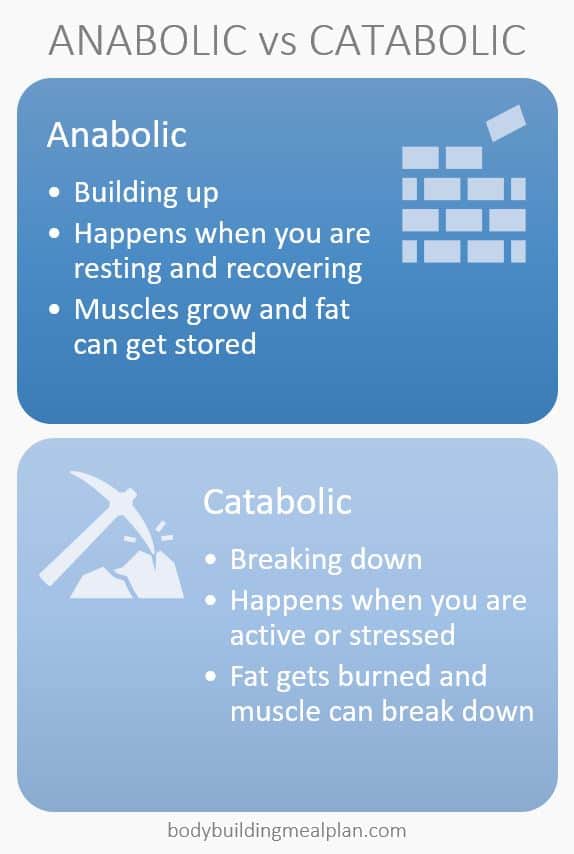 cold shower catabolic