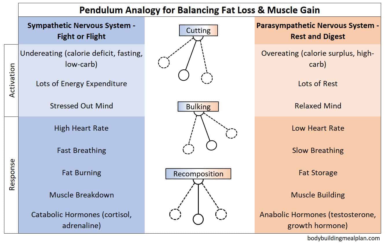 body recomposition pendulum analogy
