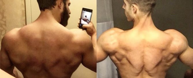 bulk vs cut jeremy fox