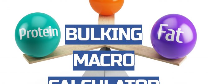 bulking macro calculator