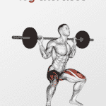 compound leg exercises pinterest