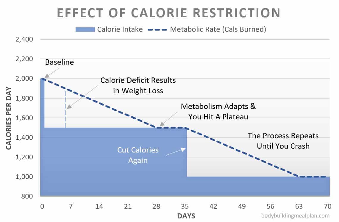 weight loss calculator - effect of calorie restriction