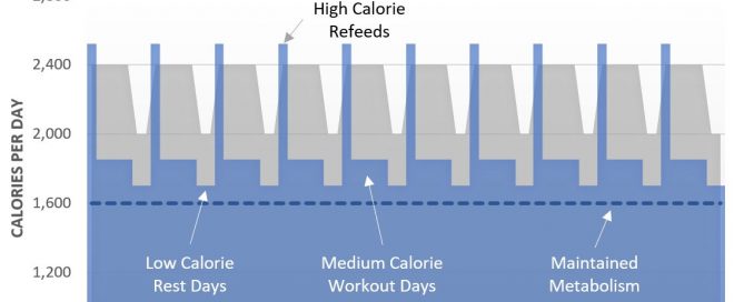 metabolic confusion example graph