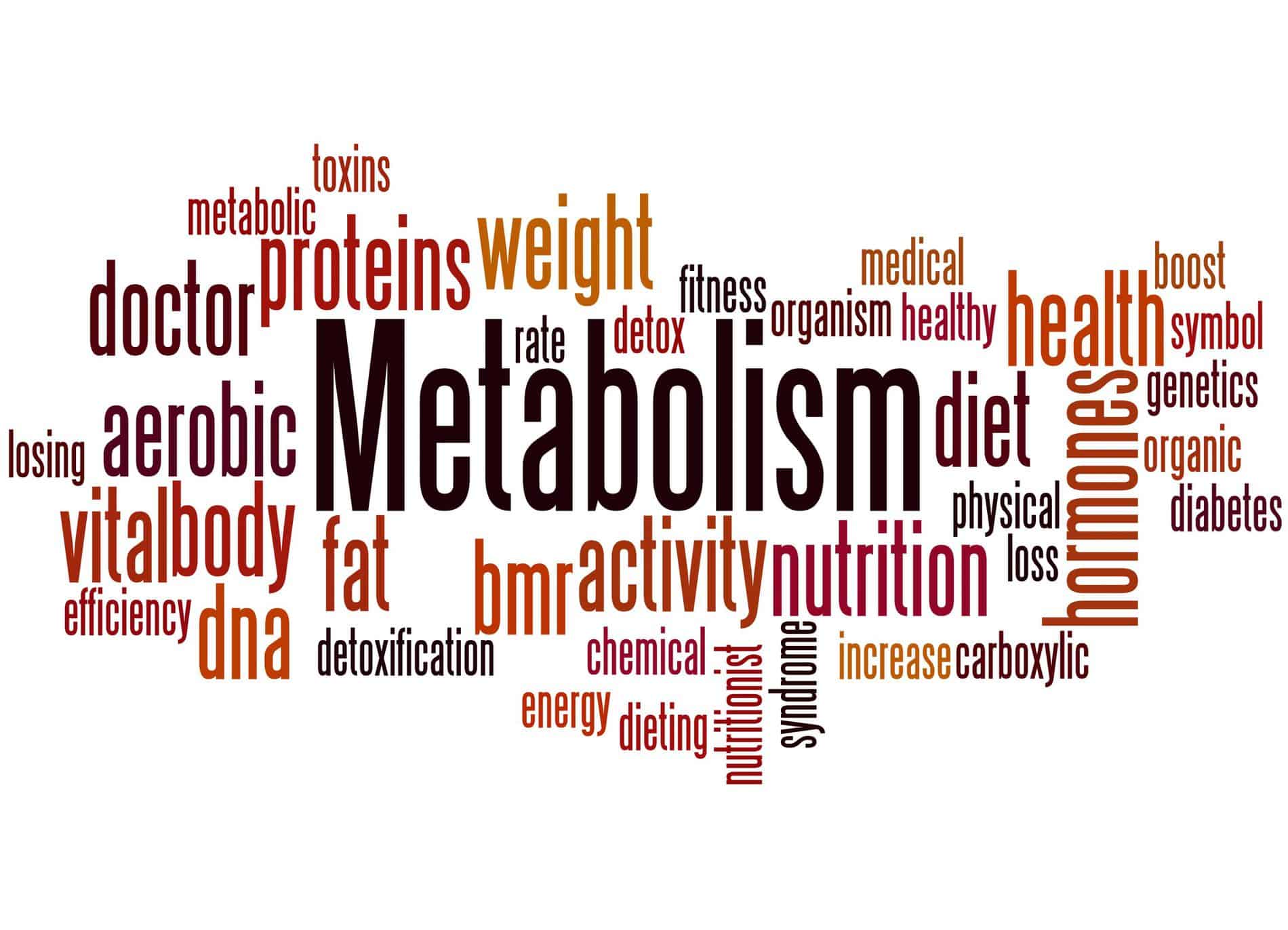 metabolic confusion