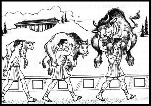 Hypertrophy Training Overload