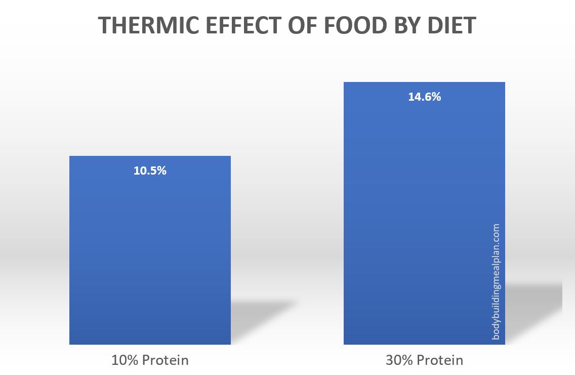 thermic effect of food by diet